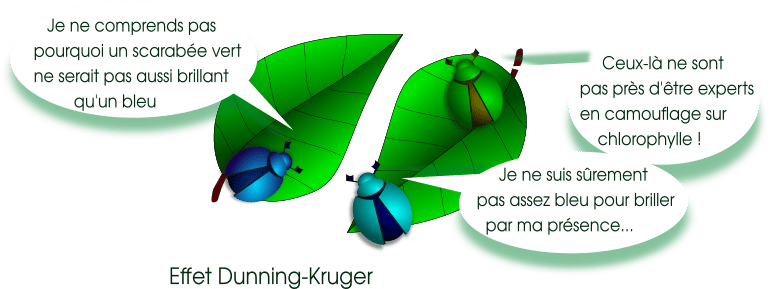 Illustration de l'effet Dunning-Kruger, : des scarabée surestiment ou sous-estiment leur compétence à l'inverse de la réalité