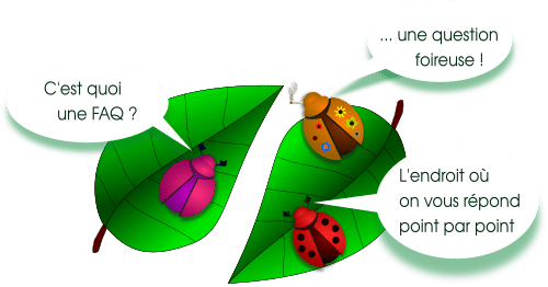 FAQ pour scarabées