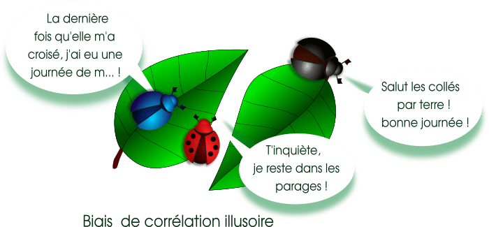 Illustration de la corrélation illusoire : un scarabée exprime à son voisin son côté superstitieux
