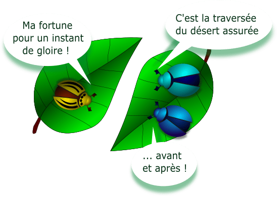 La gloire éphémère