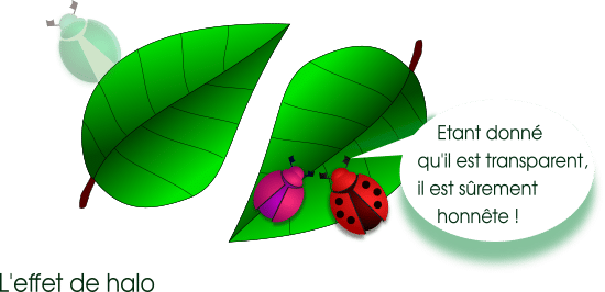 Illustration de l'effet de halo : deux scarabées considèrent la morale d'un troisième aux vues de sont apparence physique